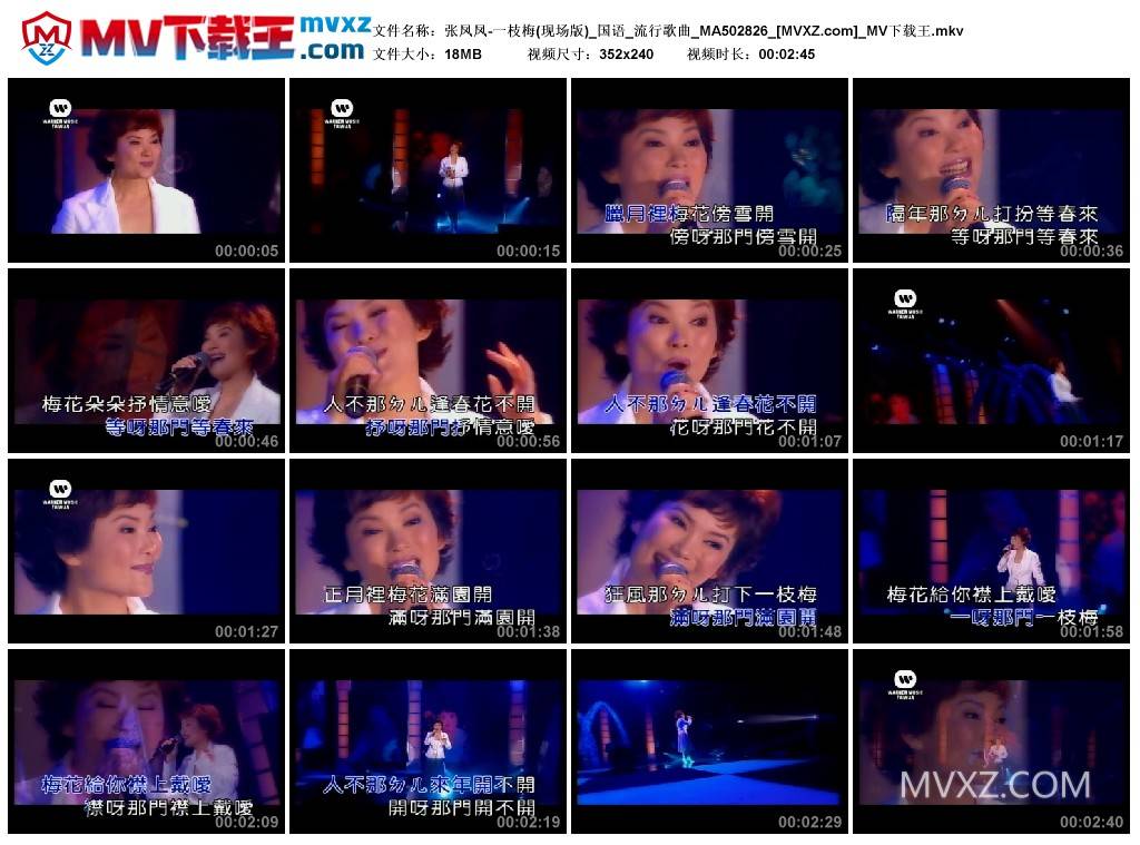 张凤凤-一枝梅(现场版)_国语_流行歌曲_MA502826